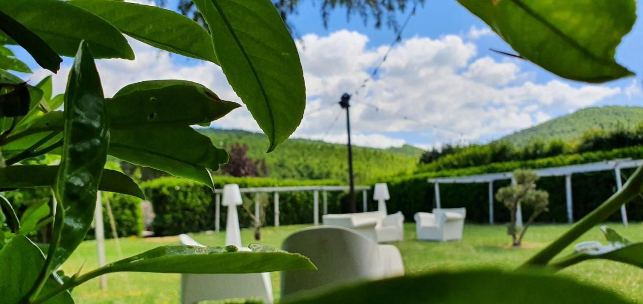 Sotto Il Cielo Hotel 皮诺拉瓦 外观 照片
