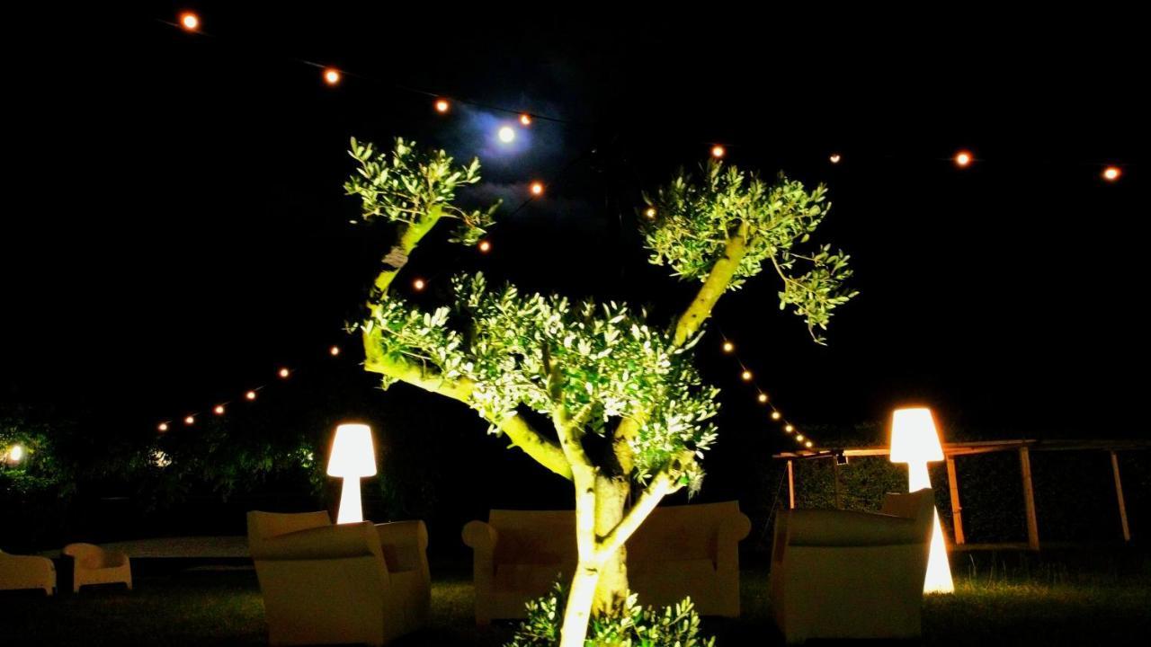Sotto Il Cielo Hotel 皮诺拉瓦 外观 照片